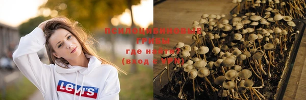 PSILOCYBIN Вязники
