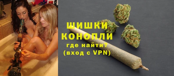 PSILOCYBIN Вязники