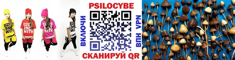 это наркотические препараты  наркотики  Инза  Галлюциногенные грибы Cubensis 